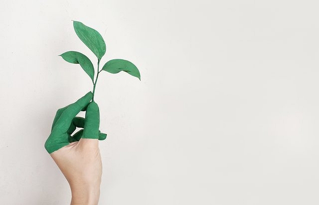 green-marketing-para-marcas-sostenibles